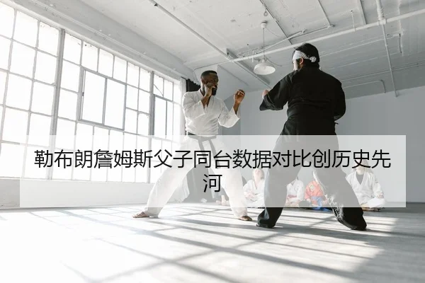 lei-bu-lang-zhan-mu-si-fu-zi-tong-tai-shu-ju-dui-bi-chuang-li-shi-xian-he-2-930.jpg